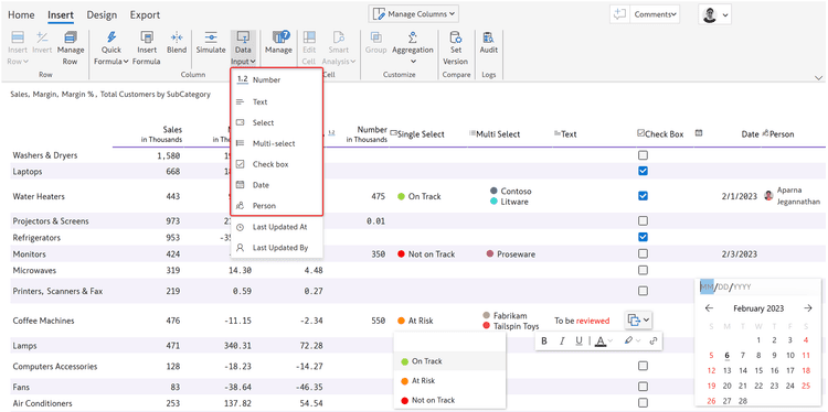 lumel-datainput-report